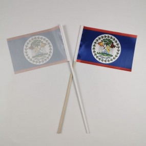 Handfahnen bedrucken lassen