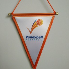 Dreieckige Wimpel mit Logo gestalten - Wimpel in Dreiec...